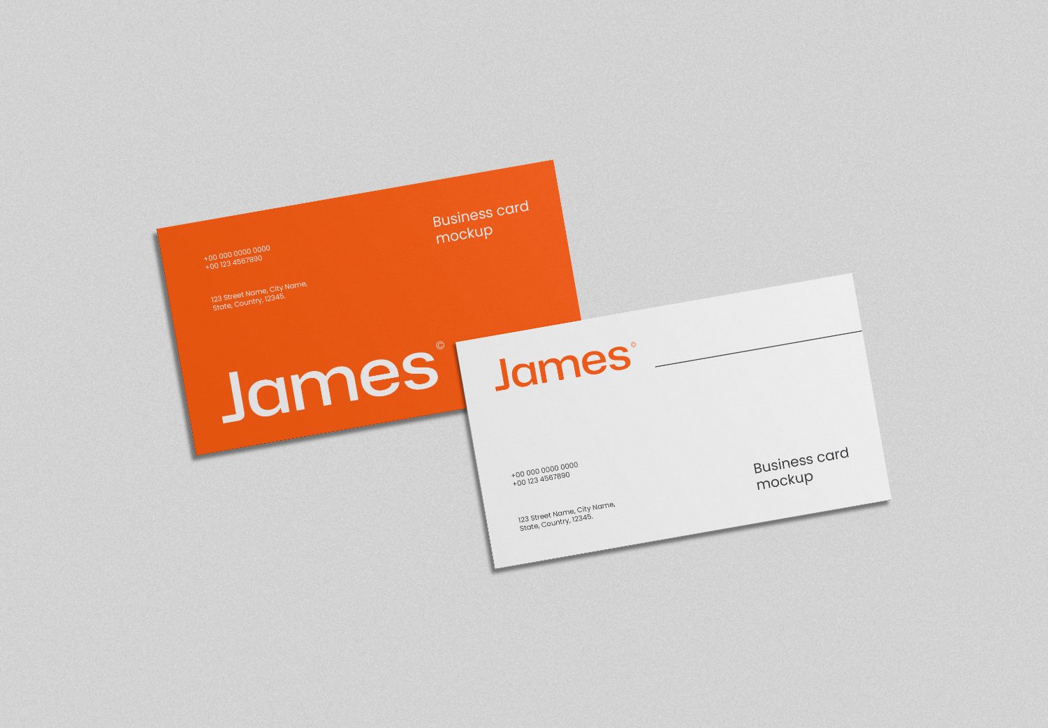 Professional Business Card Mockup Template