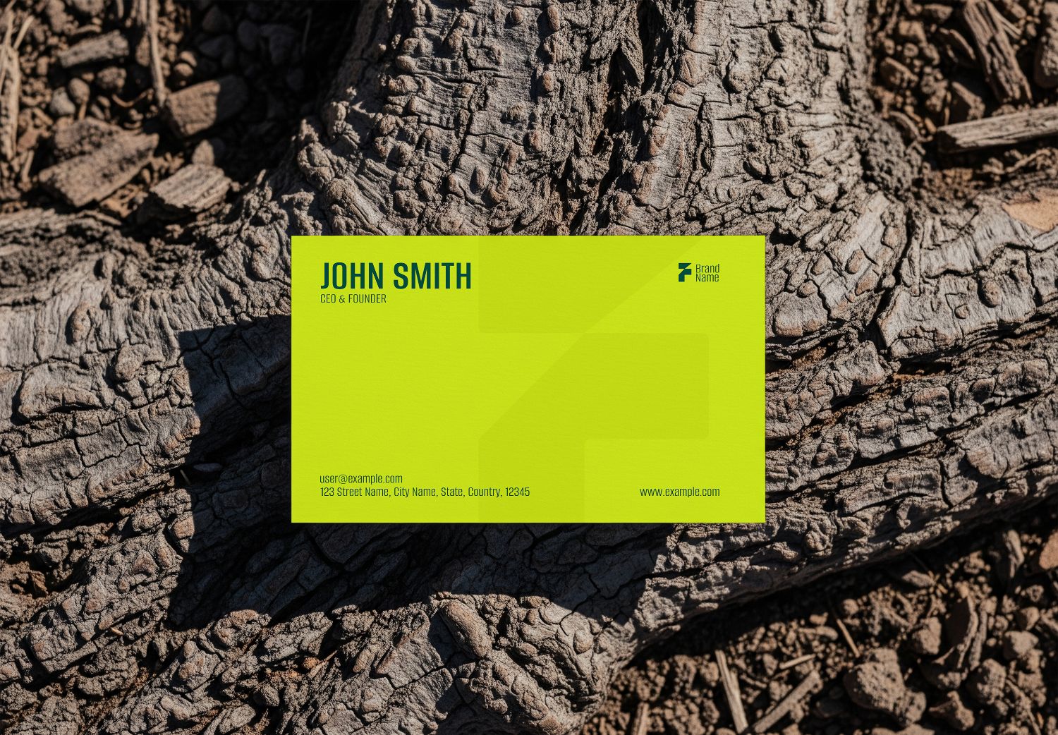 Vibrant Business Card Mockup on Rustic Tree Bark Texture